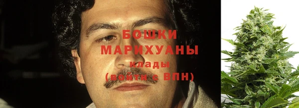 ГАЛЛЮЦИНОГЕННЫЕ ГРИБЫ Арсеньев
