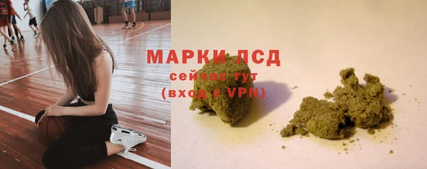 ГАЛЛЮЦИНОГЕННЫЕ ГРИБЫ Арсеньев