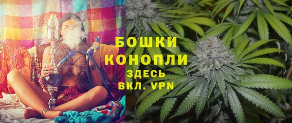 ГАЛЛЮЦИНОГЕННЫЕ ГРИБЫ Арсеньев
