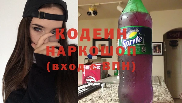 ГАЛЛЮЦИНОГЕННЫЕ ГРИБЫ Арсеньев